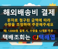 해외배송비결제